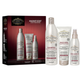 Alfaparf Il Salone Milano Magnificent Shampoo 500ml + Mask 250ml + Leave-in Spray 200ml